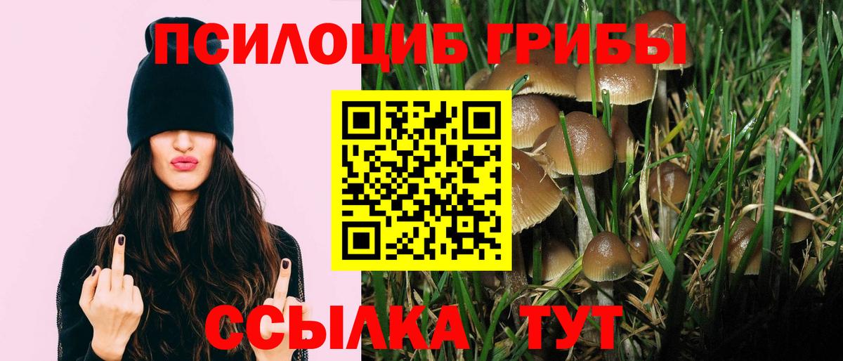 Галлюциногенные грибы прущие грибы Зеленогорск